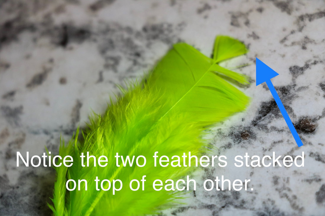 How To Measure Hackle - Flylords Mag