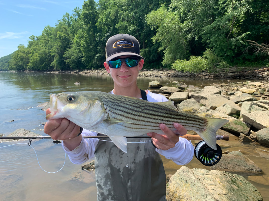 Anybody else been oiling reels, replacing hooks, tying new leaders, and  generally getting very excited about the bass fishing year ahead? — Henry  Gilbey