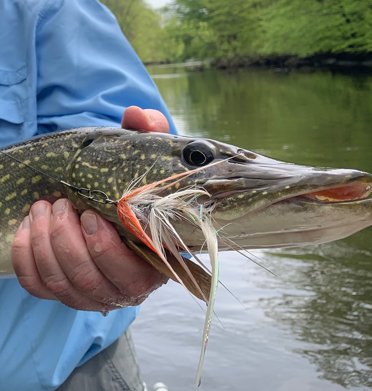 Streamer Fly Fishing Pike, Fish Mask Fly Tying