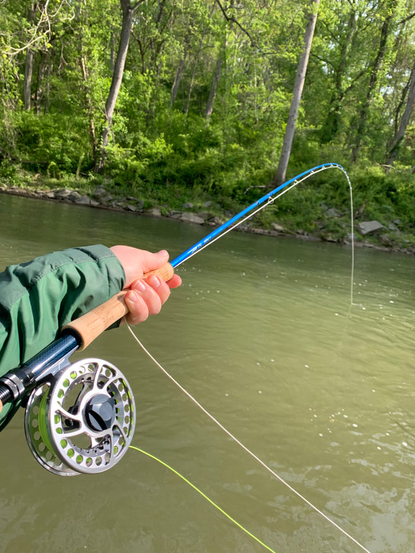 5 Weight 9 Foot 7 Piece Fly Rod | Wild Water Fly Fishing